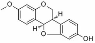 异美迪紫檀素