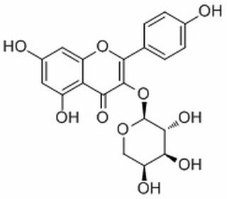 堪非醇 3-O-阿拉伯糖苷