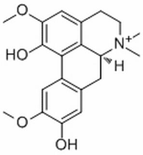 樟叶木防己碱