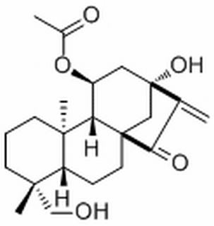 叶含乙酰瘿花香茶菜素 A