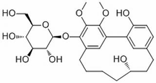 (+)-S-Myricanol glucoside