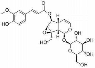 6-阿魏酰梓醇