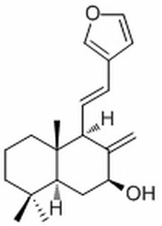 二羥丙茶堿A