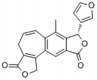 Isosalvipuberulin