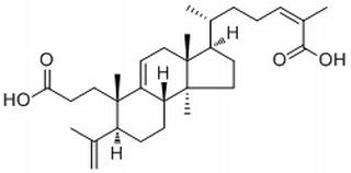 南五味子酸