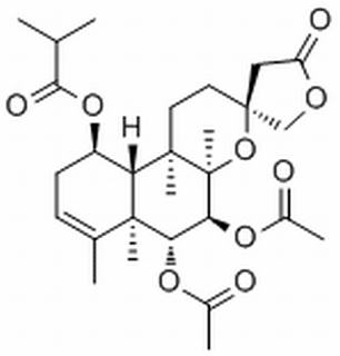 Scutebata E