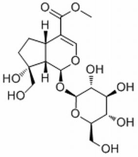 Splendoside