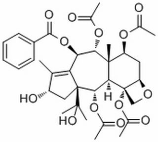 云南红豆杉酯甲