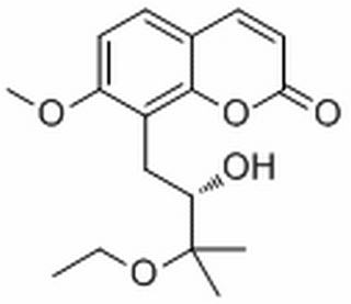 Yuehgesin C