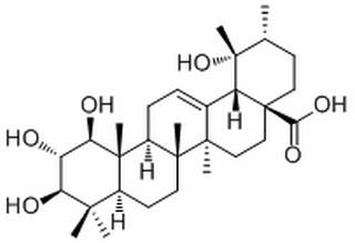 1,2,3,19-Tetrahydroxy-12-ursen-2