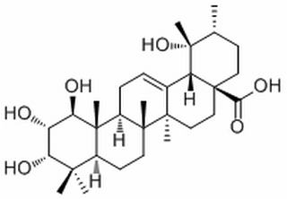 1β-Hydroxyeuscaphic acid