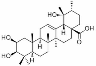 2-Epitormentic acid