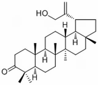 30-Hydroxylup-20(29)-en-3-one