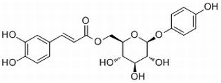 6-O-咖啡酰基熊果甙