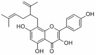 8-Lavandulylkaempferol