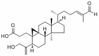 Coronalolic acid