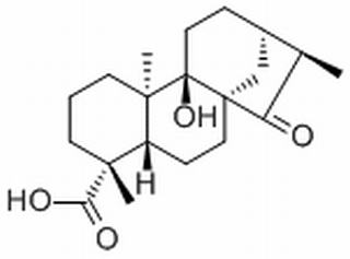 等效-9-羟基-15-氧代-19-异贝壳杉烷酸