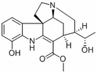燈臺樹次堿