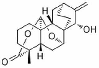 繡線菊內醋 B