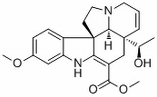 Vandrikidine