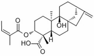 3α-Angeloyloxypterokaurene L3