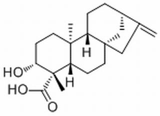 ent-3β-Hydroxykaur-16-en-19-oic