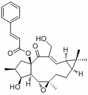 Jolkinol A