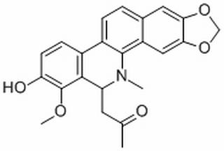 6-Acetonyl-N-methyl-dihydrodecar