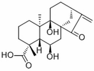 等效-6,9-二羥基-15-氧代-16-貝殼杉烯-19-酸