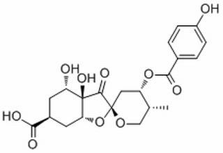 Glochicoccin D