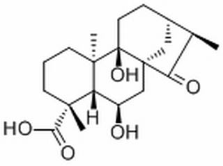 Pterisolic acid D