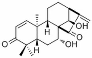 涼山香茶菜素A