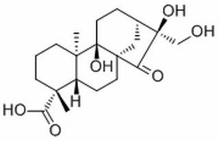 Pterisolic acid F