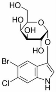 5-溴-6氯-3-吲哚-β-D-半乳糖苷