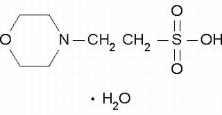 2-(N-吗啡啉)乙磺酸