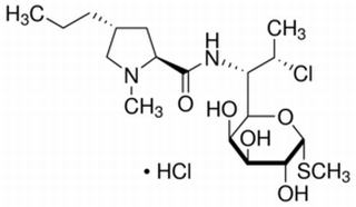 盐酸克林霉素