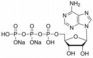 5-腺苷三磷酸二钠盐