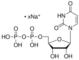 5-尿苷二磷酸钠盐