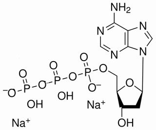 2′-脱氧腺苷-5′-三磷酸二钠盐