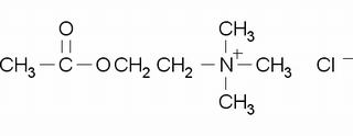 氯化乙酰胆碱