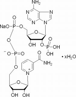氧化型辅酶Ⅱ单钠盐
