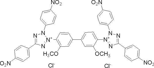 四硝基四氮唑蓝（TNBT）