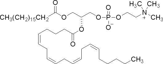 l-α-磷脂酰胆碱-β-花生四烯酰-γ-硬脂酰