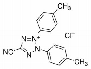 5-氰基-2，3-二-（P-苄基-四唑氯化物）