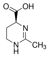 四氢嘧啶