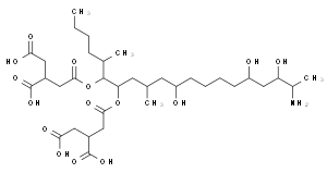 伏马毒素B1