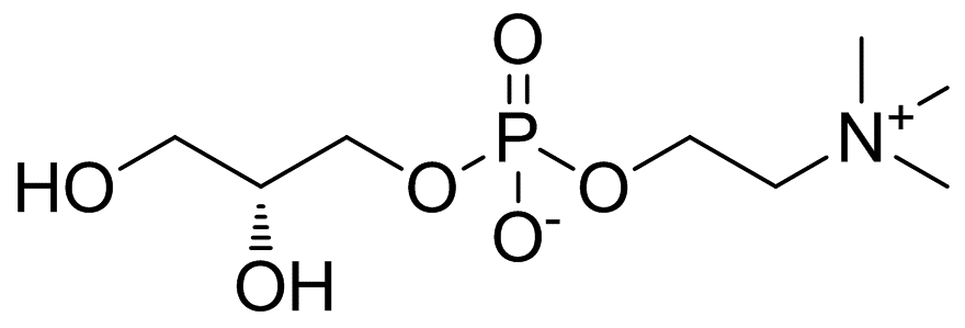 甘油磷酸胆碱