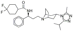 马拉韦罗D6