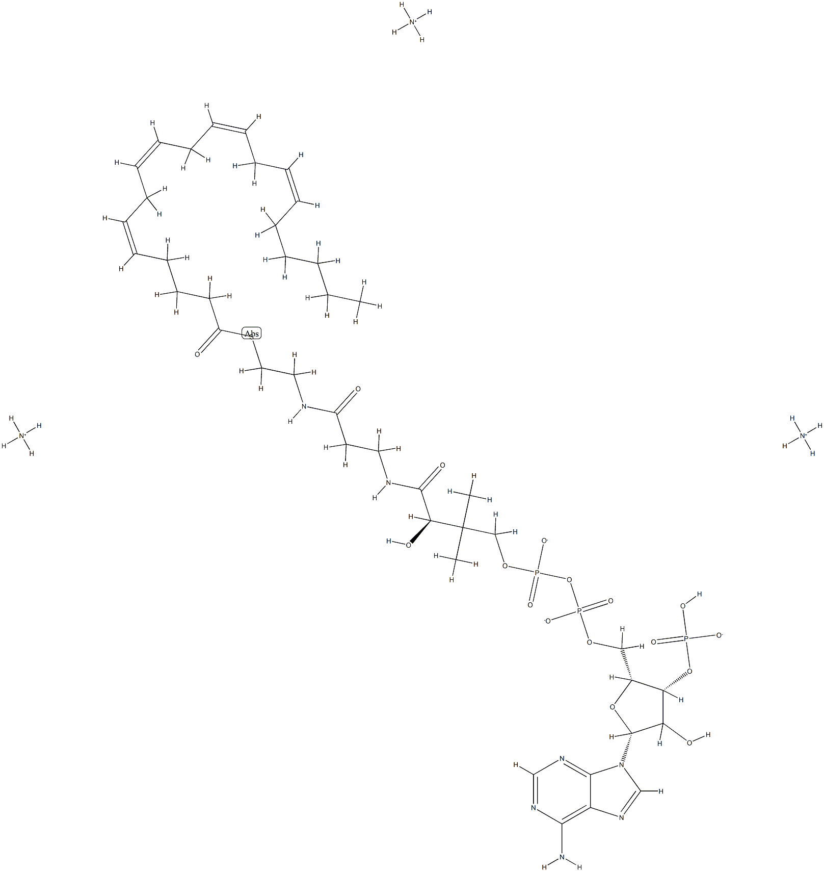 (5Z,8Z,11Z,14Z-EICOSATETRAENOYL) COENZYME A (AMMONIUM SALT);20:4 COENZYME A