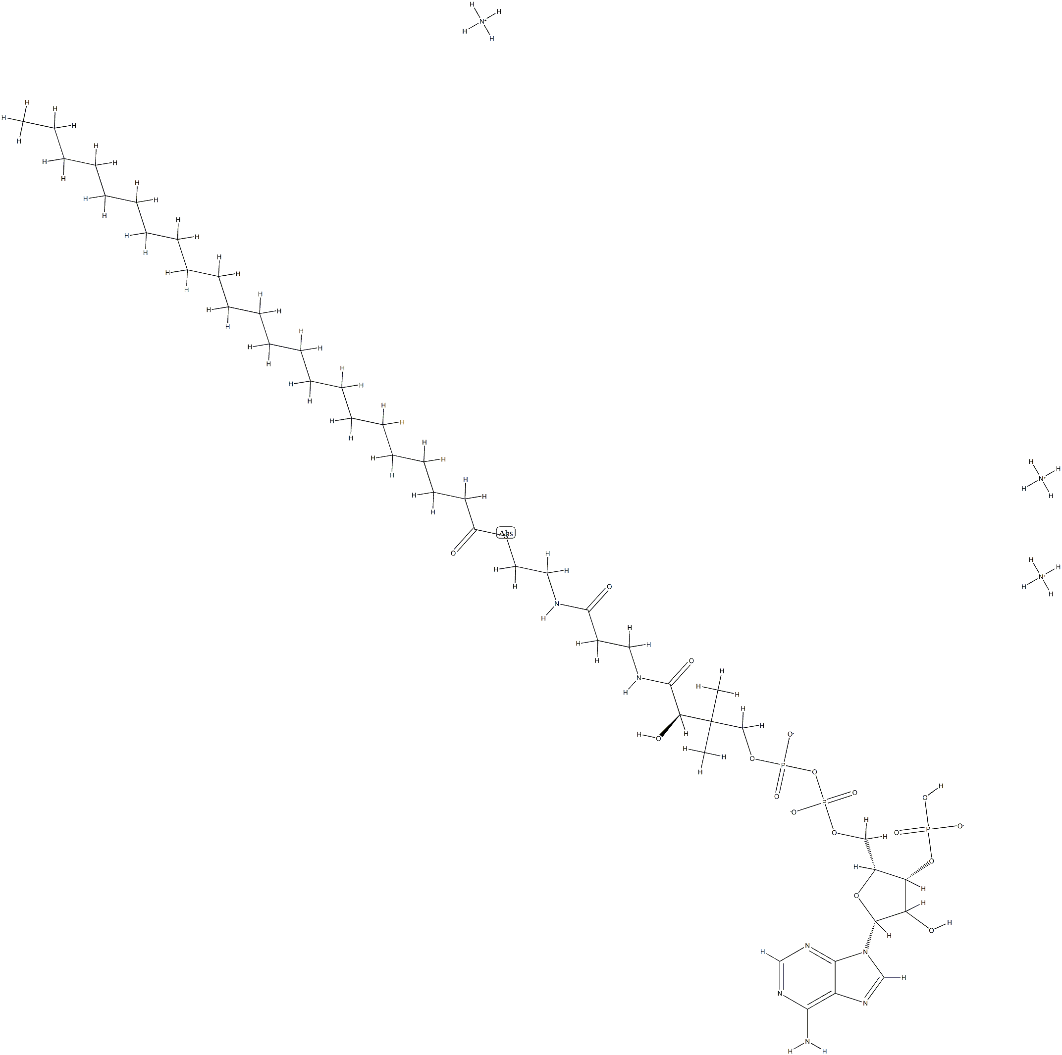 TRICOSANOYL COENZYME A (AMMONIUM SALT);23:0 COENZYME A